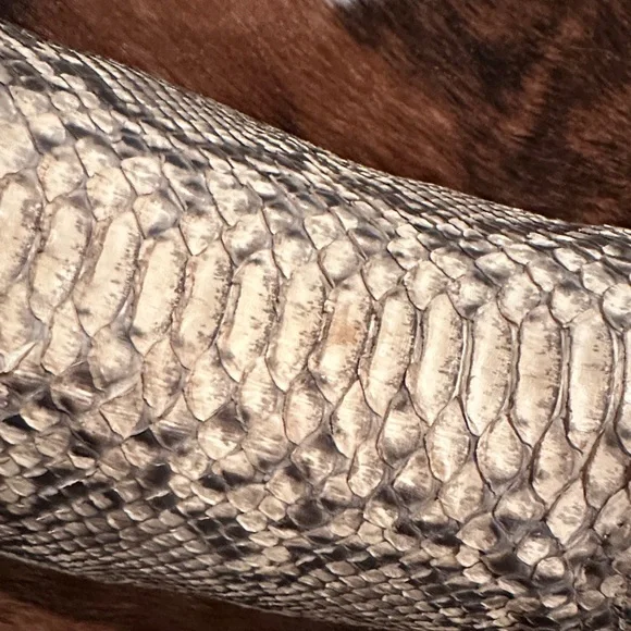 Dan Post Black and Cream Snakeskin Boots - Picture 9 of 10